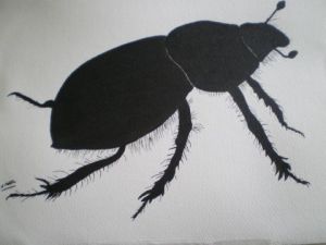 Voir le détail de cette oeuvre: scarabée